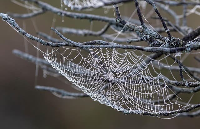 Pourquoi la mise à la terre est essentielle pour l'électricité sécurisée